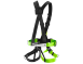 RADIALIS COMP