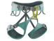 JANYE