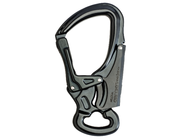 DSG TRITON