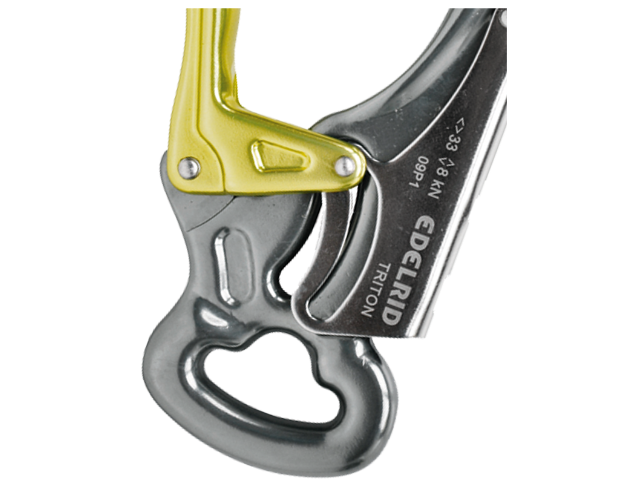 DSG TRITON
