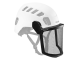 HELMET VISOR MESH