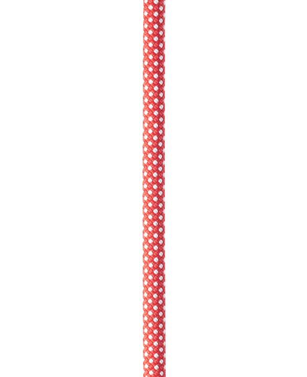 Dynamite 11,0mm 180cm