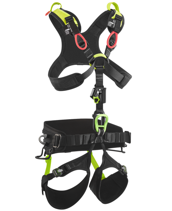 VECTOR X